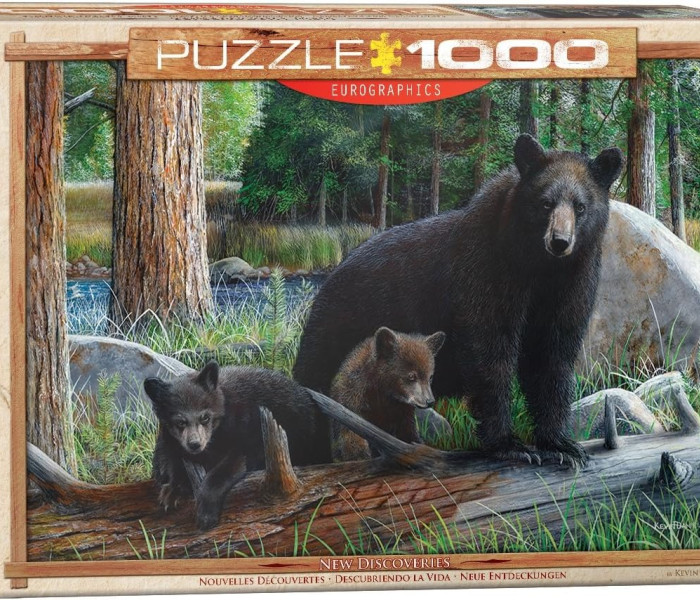 Puzzle - Eurographics - Orsi