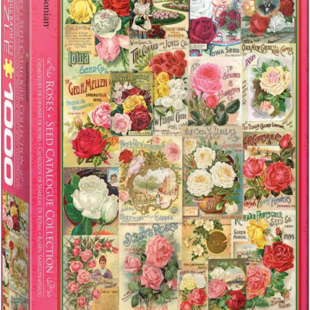 semi di rosa