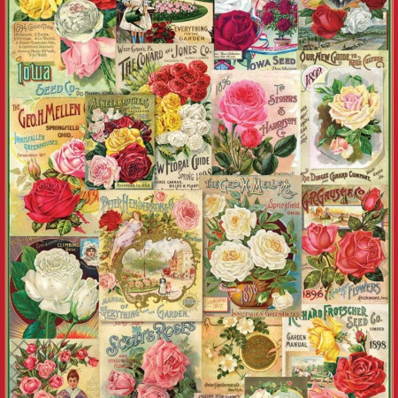 semi di rosa