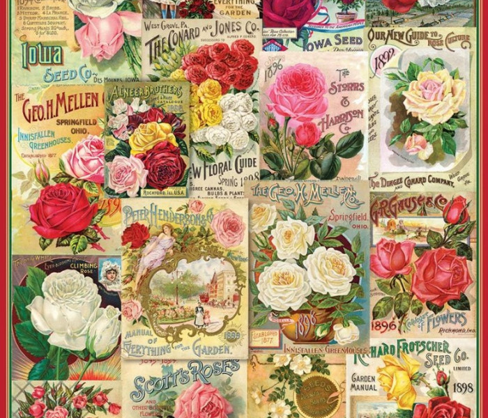 Puzzle - Eurographics - semi di rosa