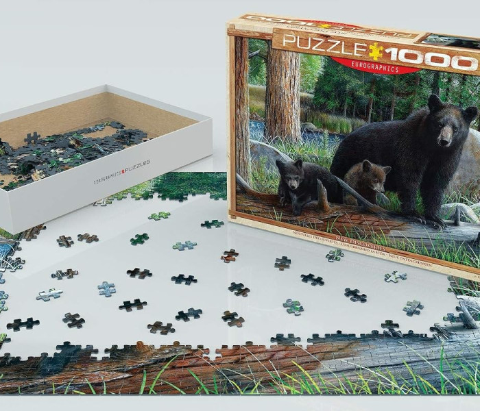 Puzzle - Eurographics - Orsi