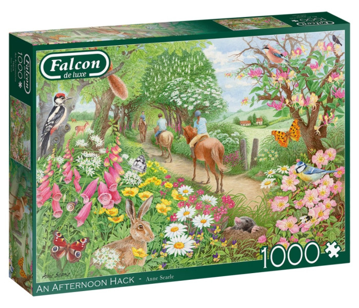 Puzzle - Falcon - Giro pomeridiano