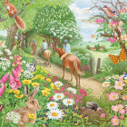 Puzzle - Falcon - Giro pomeridiano