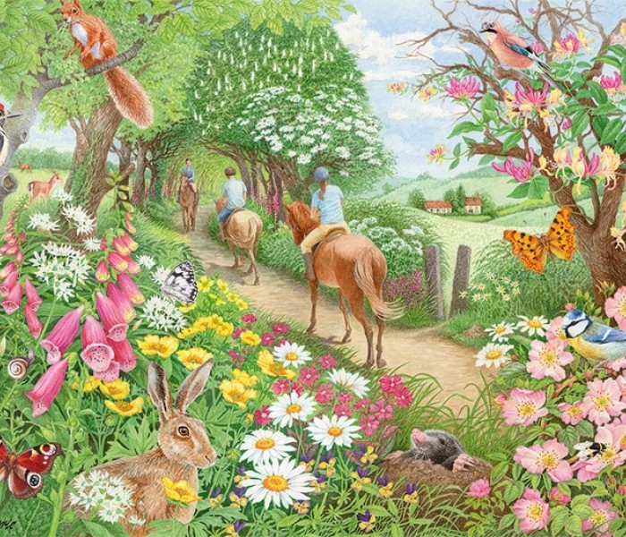 Puzzle - Falcon - Giro pomeridiano