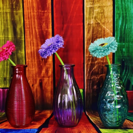 Vasi colorati con fiori
