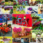 Puzzle - Grafika - Biciclette