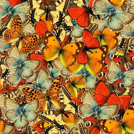 Uno stormo di farfalle