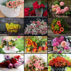 Puzzle - Grafika - Collage di fiori