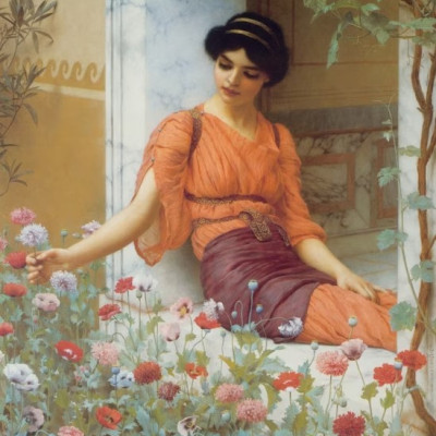 Fiori estivi, 1903