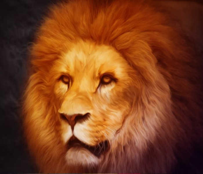 Puzzle - Grafika - Leone