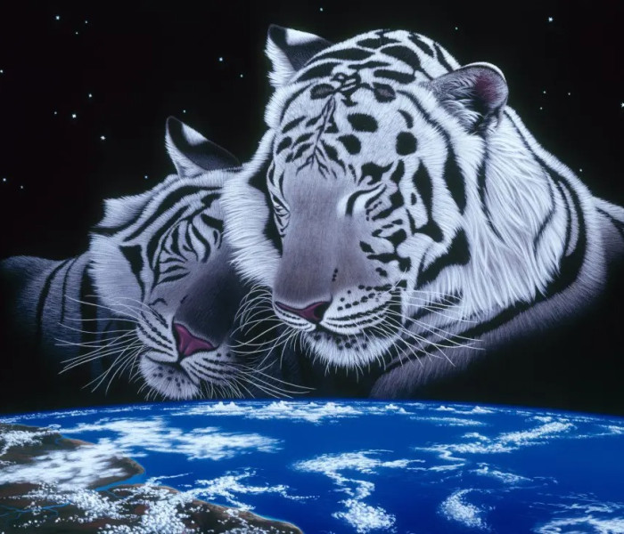 Puzzle - Grafika - Dormi bene