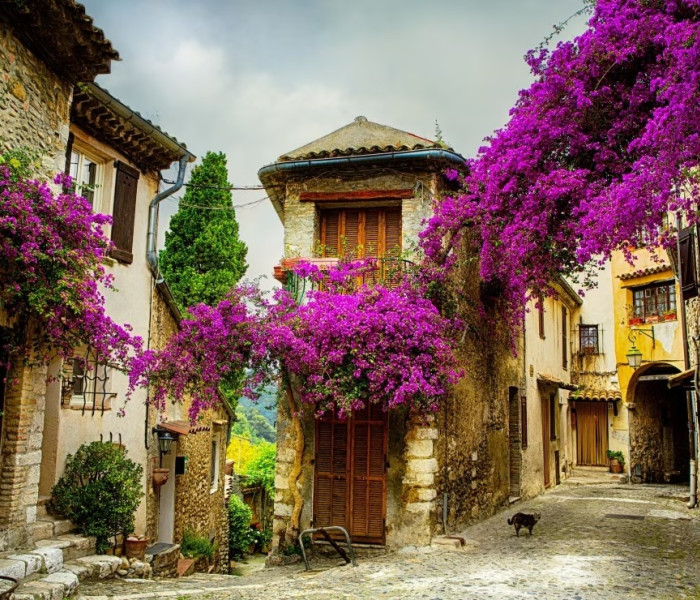 Puzzle - Grafika - Provincia, Francia