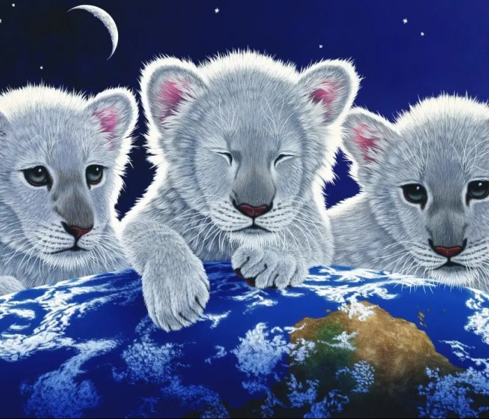 Puzzle - Grafika - Mistero e speranza