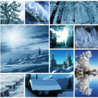 Puzzle - Grafika - collage invernale