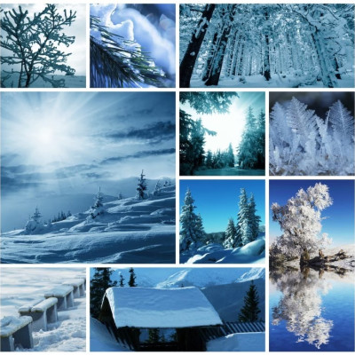 collage invernale