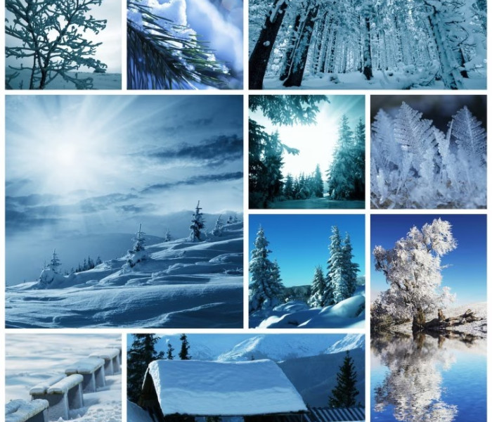 Puzzle - Grafika - collage invernale