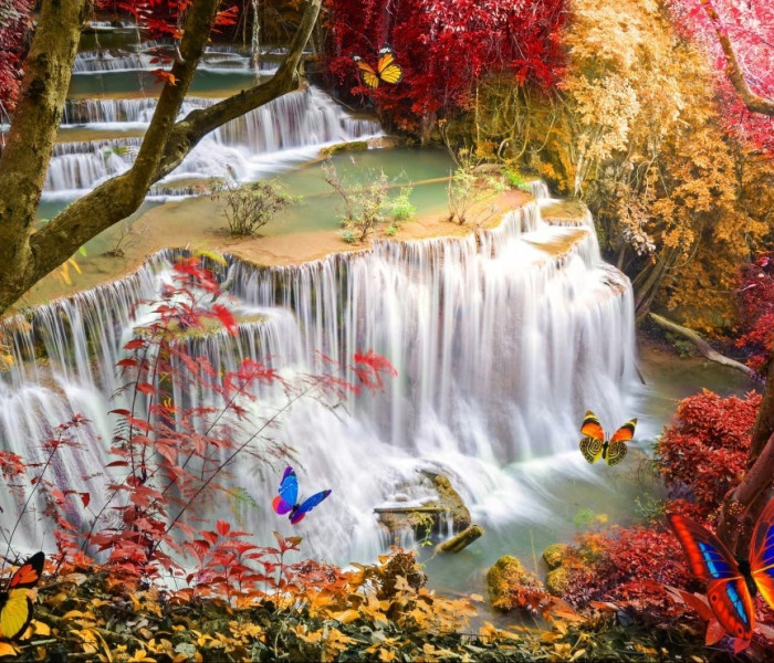 Puzzle - Grafika - Cascata nella foresta profonda