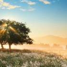 Puzzle - Heye - Gioco di luce - Puzzle Panoramico