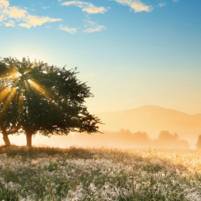 Gioco di luce - Puzzle Panoramico