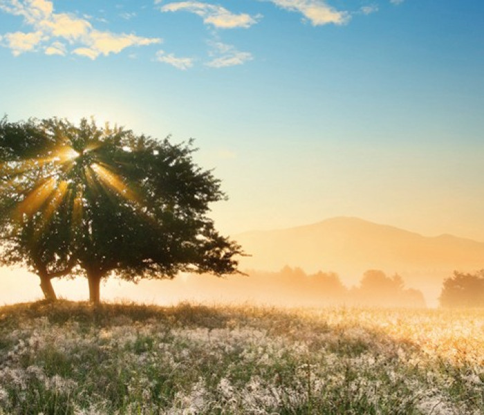 Puzzle - Heye - Gioco di luce - Puzzle Panoramico