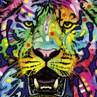 Puzzle - Heye - Tigre selvaggia