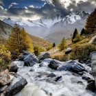 Puzzle - Heye - ruscello di montagna