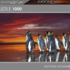 Puzzle - Heye - Pinguini reali - Puzzle Panoramico