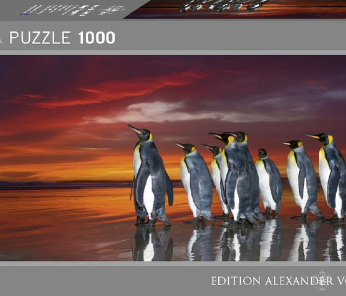 Puzzle - Heye - Pinguini reali - Puzzle Panoramico