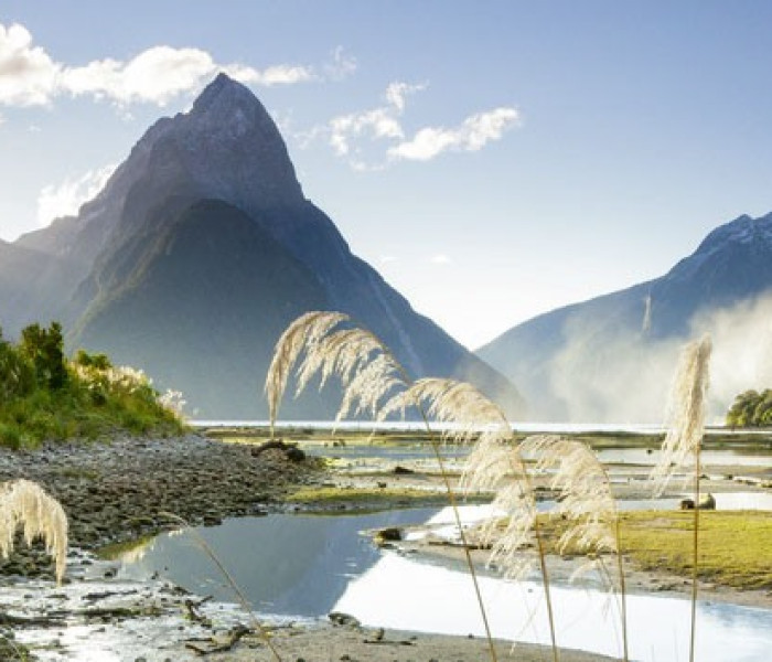 Puzzle - Heye - Milford Sound - Puzzle Panoramico