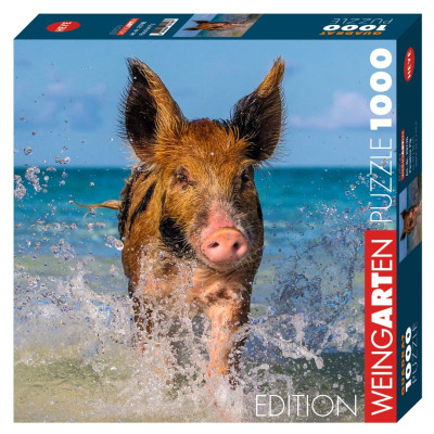 Maiale sulla spiaggia