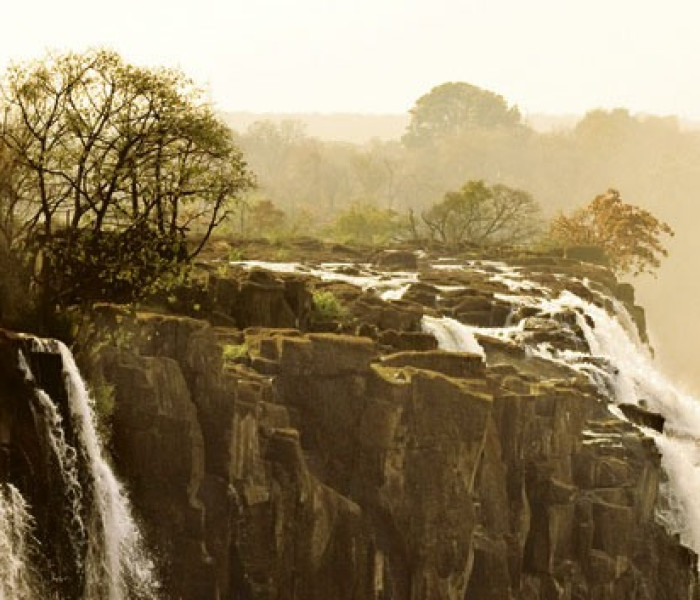 Puzzle - Heye - Elefante - Puzzle Panoramico