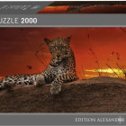 Puzzle - Heye - Alba - Puzzle Panoramico