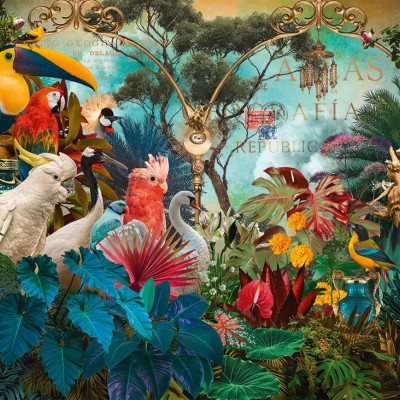 Diversità degli uccelli