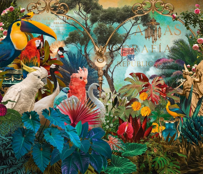 Puzzle - Heye - Diversità degli uccelli