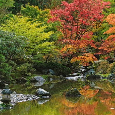 Riflessione Zen - Puzzle Panoramico