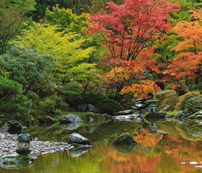 Puzzle - Heye - Riflessione Zen - Puzzle Panoramico