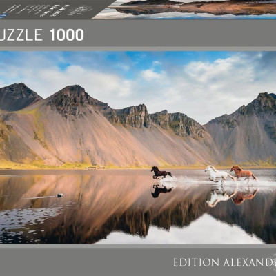 Cavalli islandesi - Puzzle Panoramico