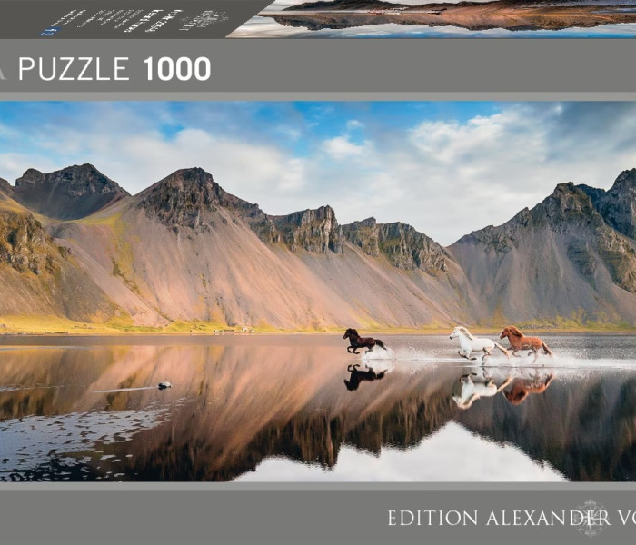 Puzzle - Heye - Cavalli islandesi - Puzzle Panoramico