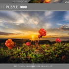 Puzzle - Heye - Rovi camemori