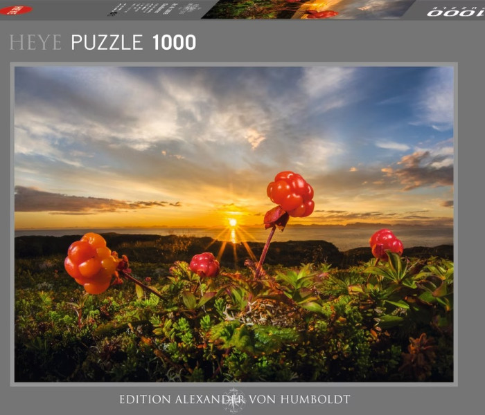 Puzzle - Heye - Rovi camemori