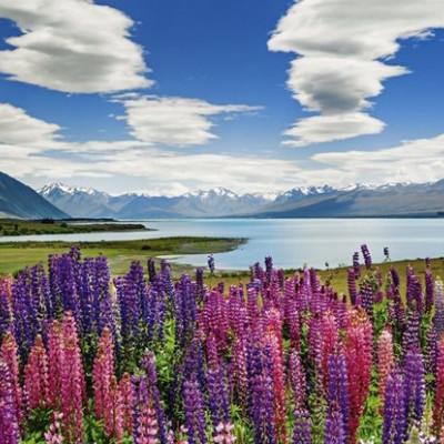 Lago Tekapo, Nuova Zelanda - Puzzle Panoramico