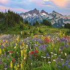 Puzzle - Heye - Monti Tatoosh