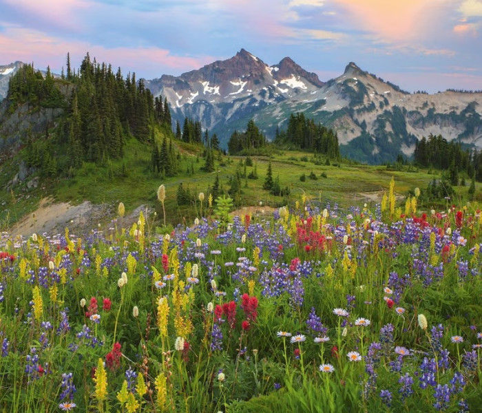 Puzzle - Heye - Monti Tatoosh