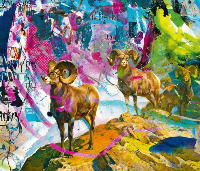 Puzzle - Heye - Grandi corna