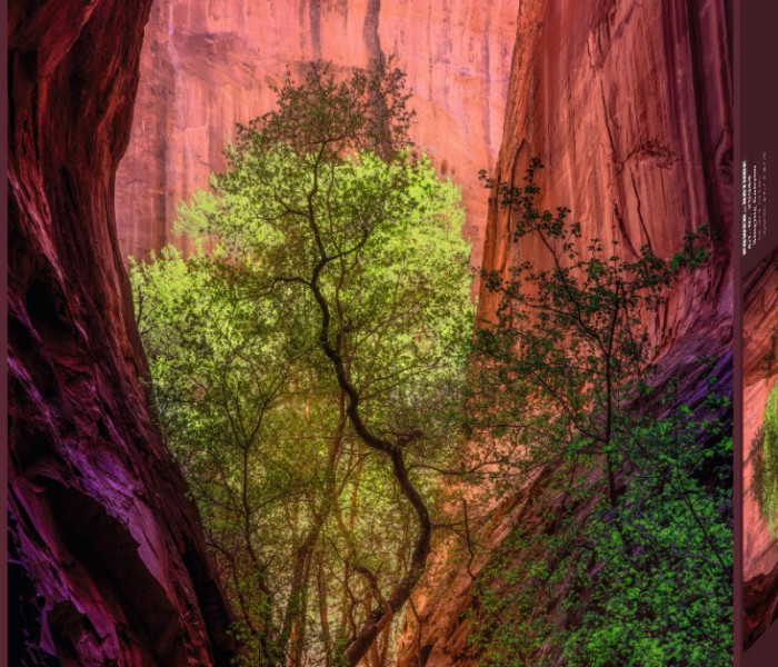 Puzzle - Heye - Canyon canterino