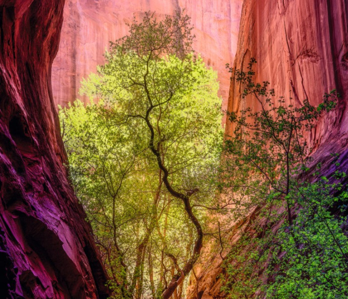 Puzzle - Heye - Canyon canterino