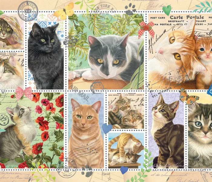 Puzzle - Jumbo - Targhette per gatti