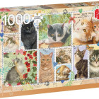 Puzzle - Jumbo - Targhette per gatti