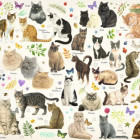 Puzzle - Jumbo - Gatti
