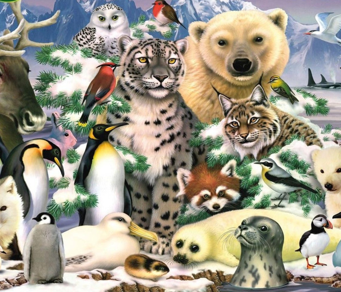 Puzzle - King - Animali polari